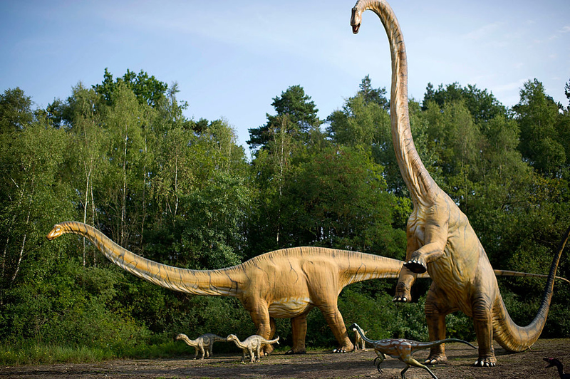 Dinosaurs Were Thriving Before Asteroid Hit | Getty Images Photo by Alexander Koerner
