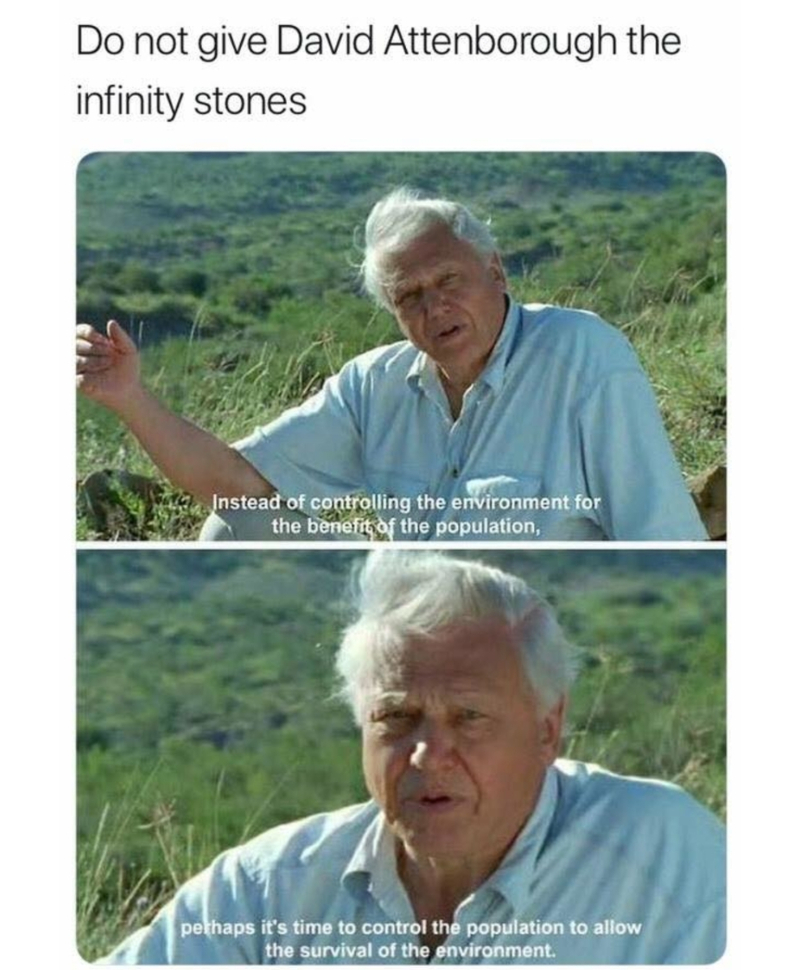 David Attenborough Is Thanos Without the Purple | Facebook/@JustMarvelMemes