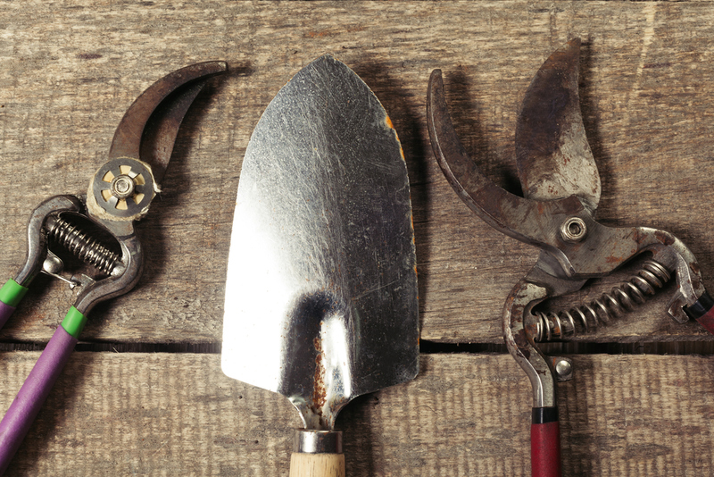 Sharpening Pot | Shutterstock