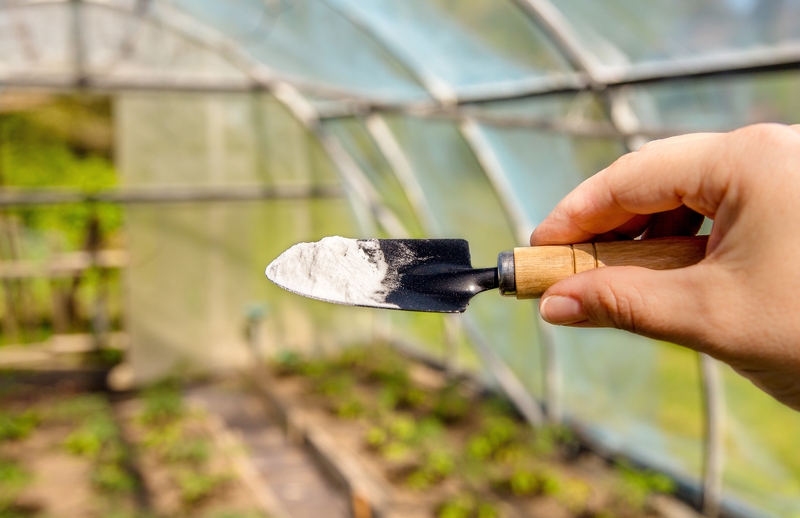 Melt the Ice on Your Garden Patio With Baking Soda | Shutterstock