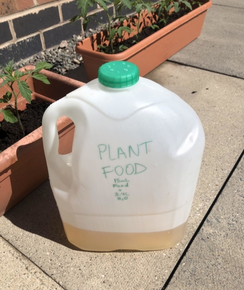 Milk Jug Watering Can | Reddit.com/applepiecheetah