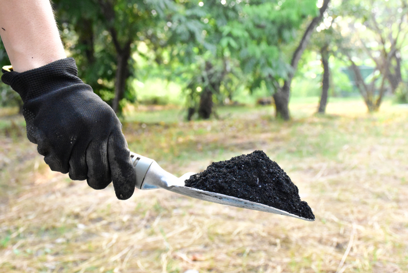 Start With Your Soil | Shutterstock