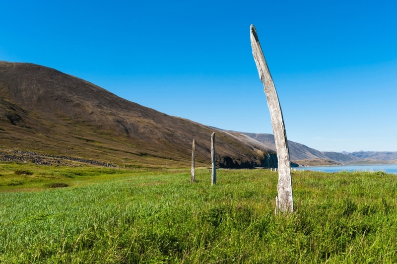 Whale Bone Alley, Siberia | Alamy Stock Photo by Arco/Therin-Weise/Imagebroker