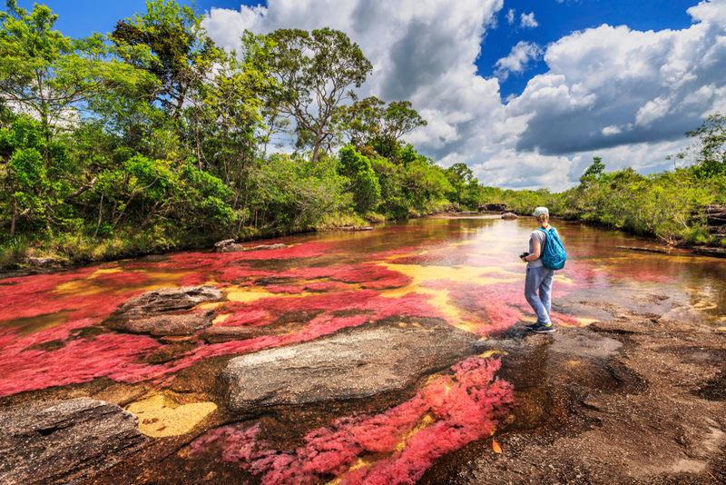 A Trip to Nature’s Most Colorful Scenes | Shutterstock