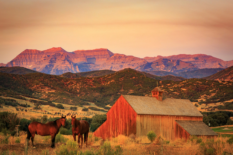 Utah Catastrophes Are Seriously Frowned-Upon | Shutterstock