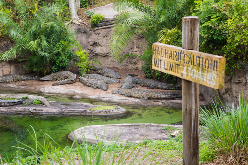 The Kilimanjaro Safari Ride Could Be Deadly | Alamy Stock Photo