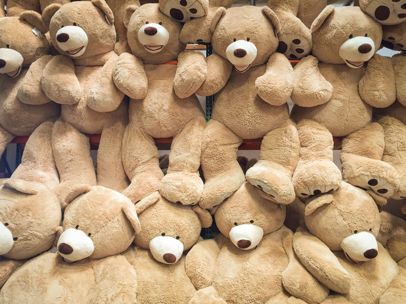 Llévalo: oso de peluche de 93 pulgadas | Shutterstock 